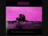 Τhe Mushrooms - Scarecrow Princes (Thessaloniki 1989)